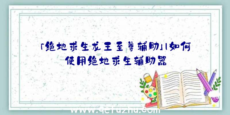 「绝地求生龙王至尊辅助」|如何使用绝地求生辅助器